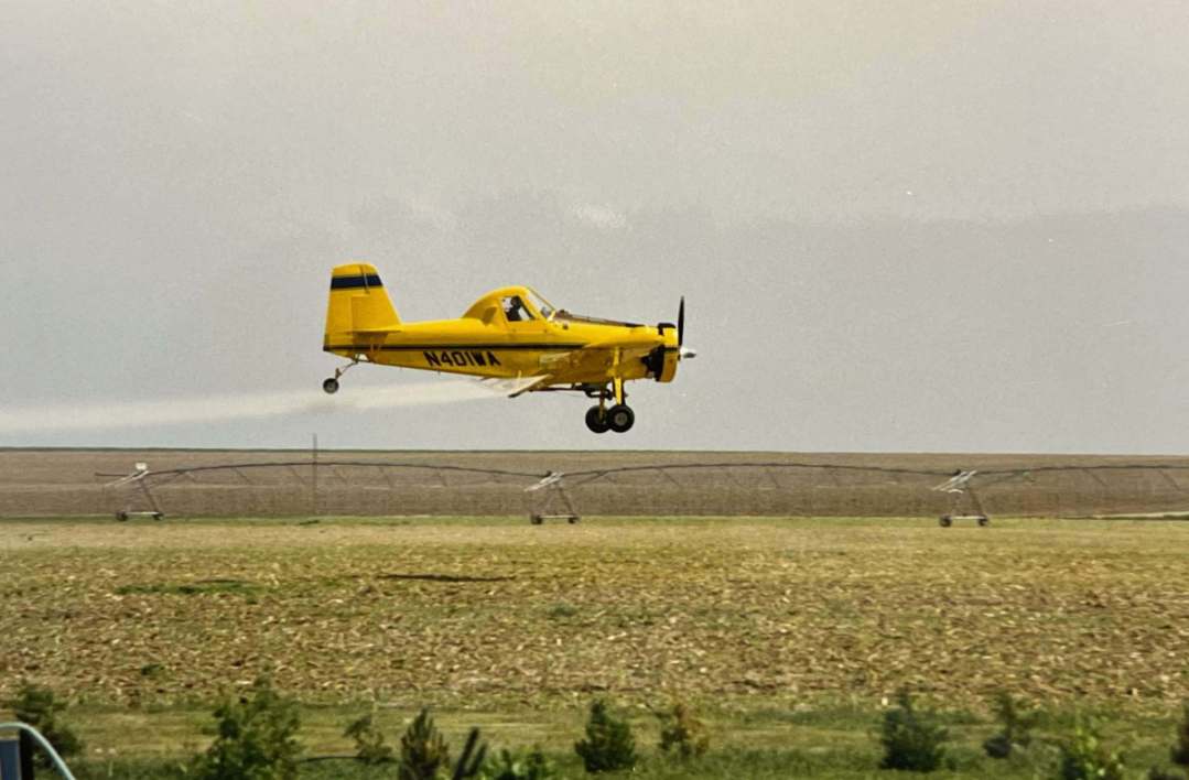 Yellow air tractor flies over freshly planted corn